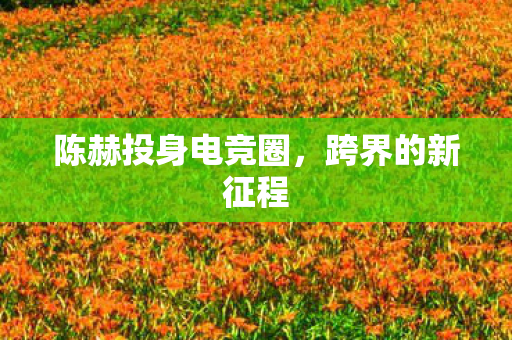 陈赫投身电竞圈图片