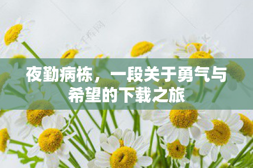 一段关于勇气与希望的下载之旅图片