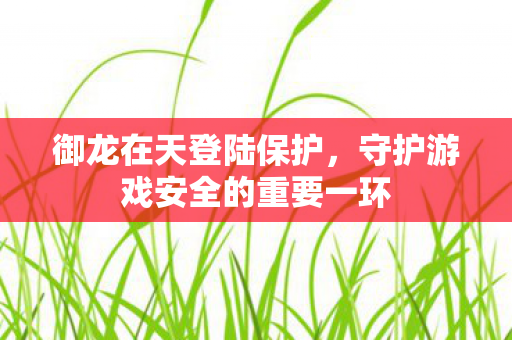 守护游戏安全的重要一环图片