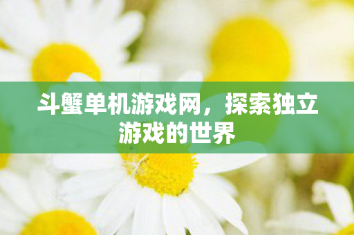 探索独立游戏的世界图片
