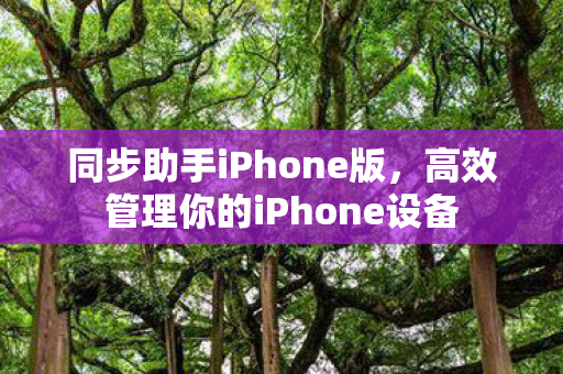高效管理你的iPhone设备图片