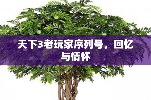天下3老玩家序列号图片