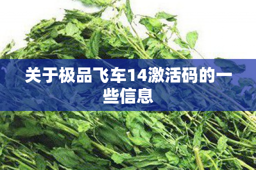 关于极品飞车14激活码的一些信息图片