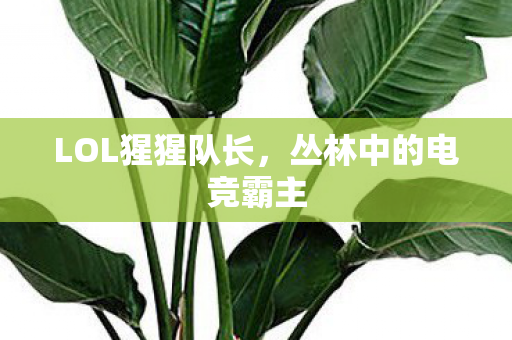 丛林中的电竞霸主图片