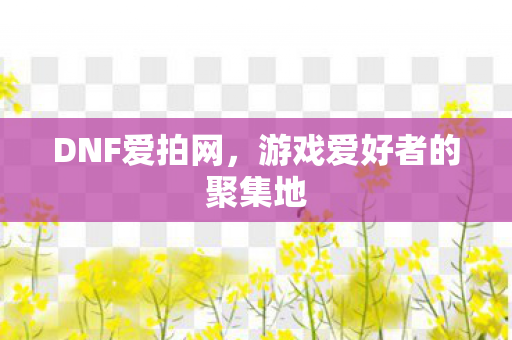 游戏爱好者的聚集地图片