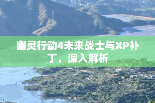 幽灵行动4未来战士与XP补丁图片