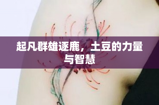 土豆的力量与智慧图片