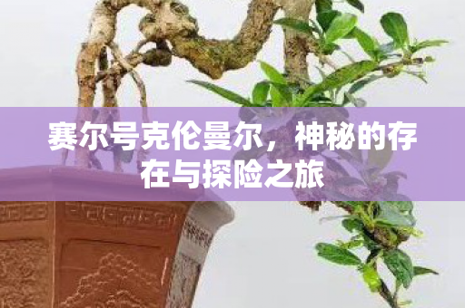 神秘的存在与探险之旅图片