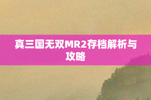 真三国无双MR2存档解析与攻略图片