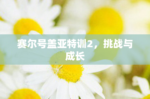 赛尔号盖亚特训2图片