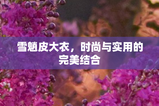 时尚与实用的完美结合图片
