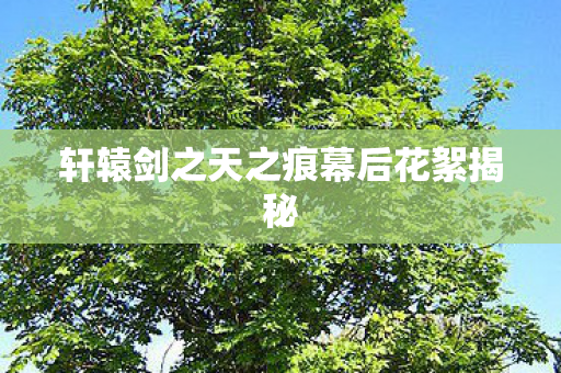 轩辕剑之天之痕幕后花絮揭秘图片
