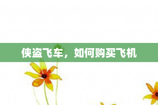 如何购买飞机图片