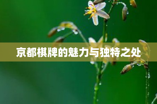 京都棋牌的魅力与独特之处图片
