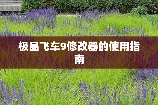 极品飞车9修改器的使用指南图片