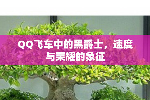 QQ飞车中的黑爵士图片