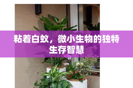 微小生物的独特生存智慧图片