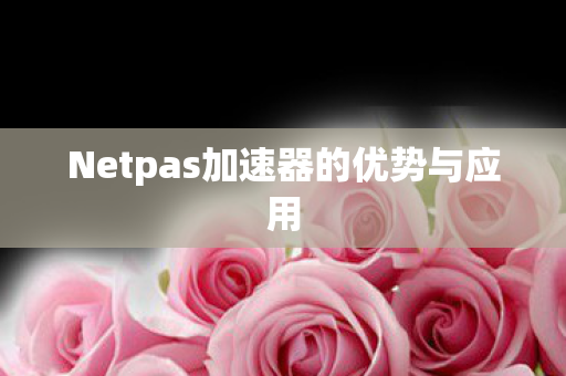 Netpas加速器的优势与应用图片