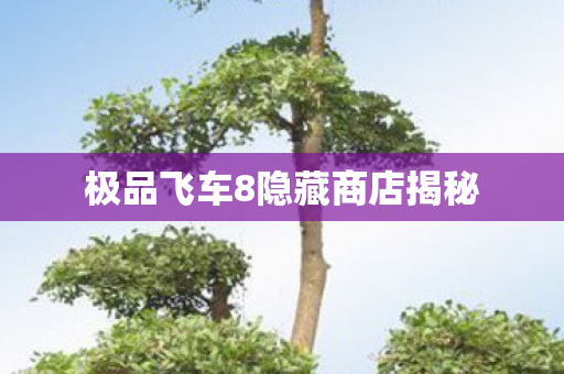 极品飞车8隐藏商店揭秘图片