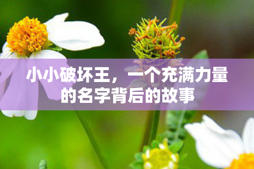 一个充满力量的名字背后的故事图片