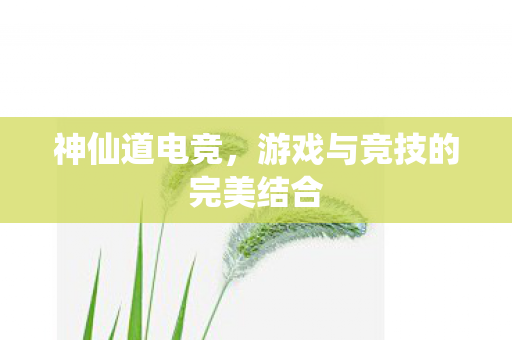游戏与竞技的完美结合图片