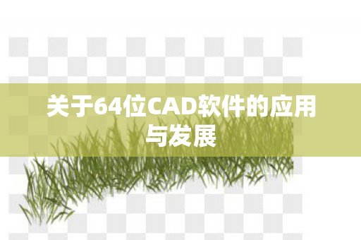 关于64位CAD软件的应用与发展图片