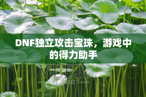 DNF独立攻击宝珠图片