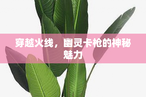 幽灵卡枪的神秘魅力图片