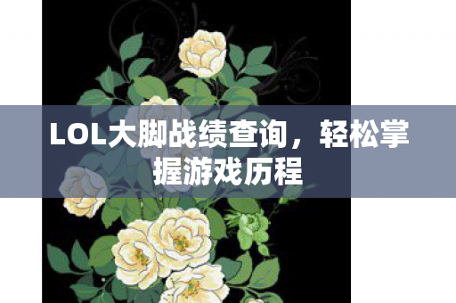 LOL大脚战绩查询图片