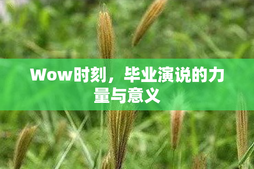 毕业演说的力量与意义图片