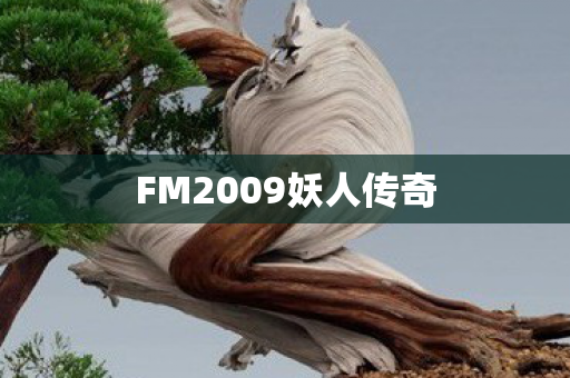 FM2009妖人传奇图片