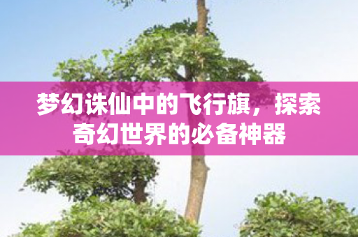 探索奇幻世界的必备神器图片
