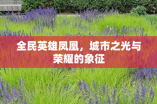 城市之光与荣耀的象征图片