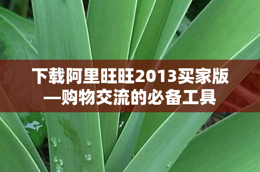 下载阿里旺旺2013买家版图片