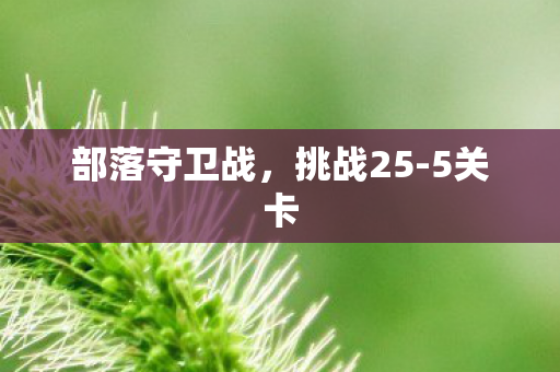 部落守卫战图片