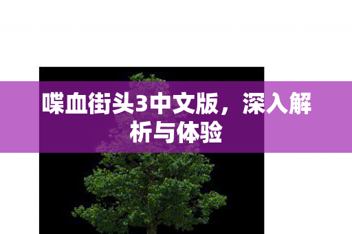 喋血街头3中文版图片