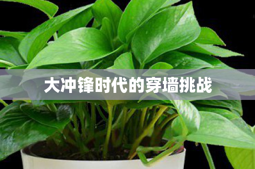 大冲锋时代的穿墙挑战图片