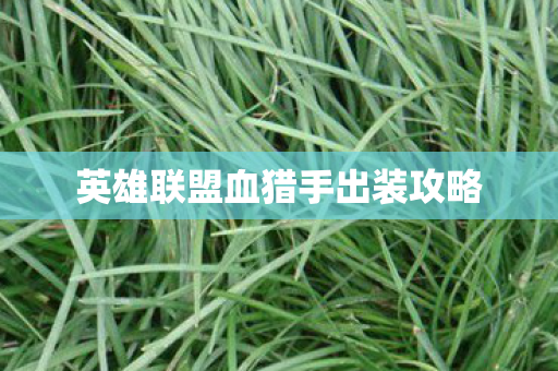 英雄联盟血猎手出装攻略图片