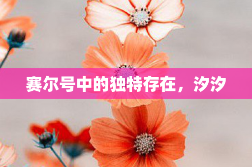 赛尔号中的独特存在图片