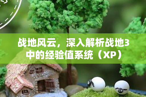 深入解析战地3中的经验值系统图片