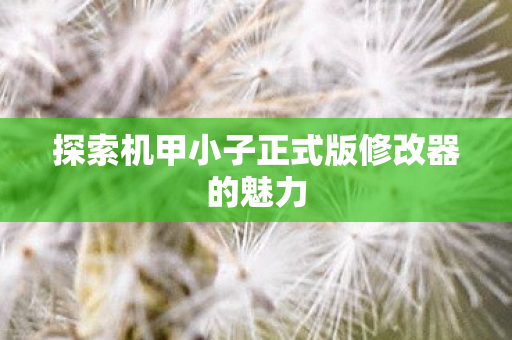 探索机甲小子正式版修改器的魅力图片
