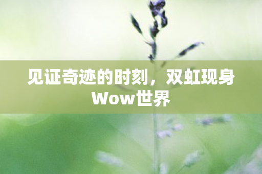双虹现身Wow世界图片