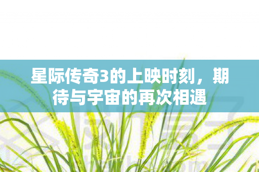 星际传奇3的上映时刻图片