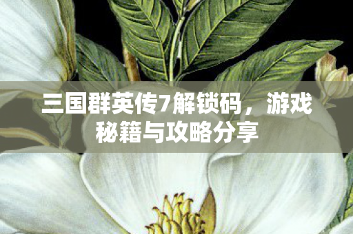 三国群英传7解锁码图片