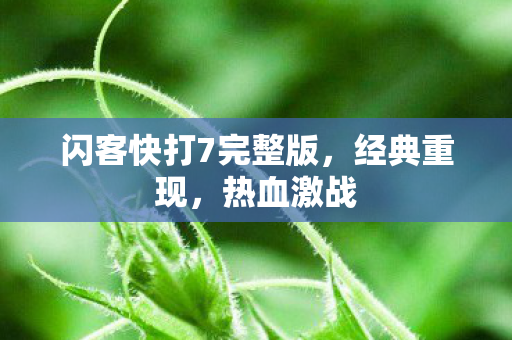 闪客快打7完整版图片