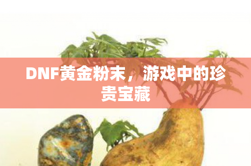 游戏中的珍贵宝藏图片