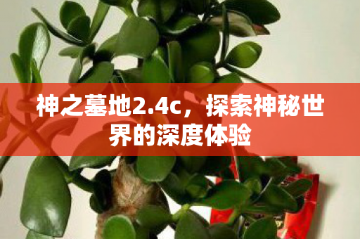 探索神秘世界的深度体验图片