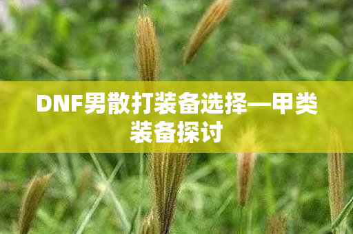 DNF男散打装备选择图片