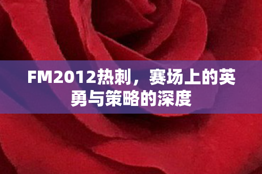 赛场上的英勇与策略的深度图片