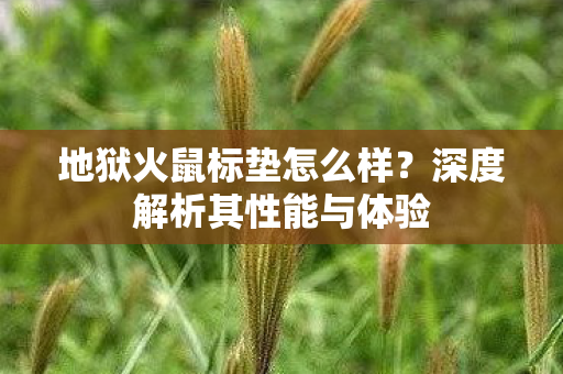 深度解析其性能与体验图片